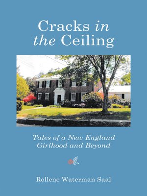 cover image of Cracks in the Ceiling